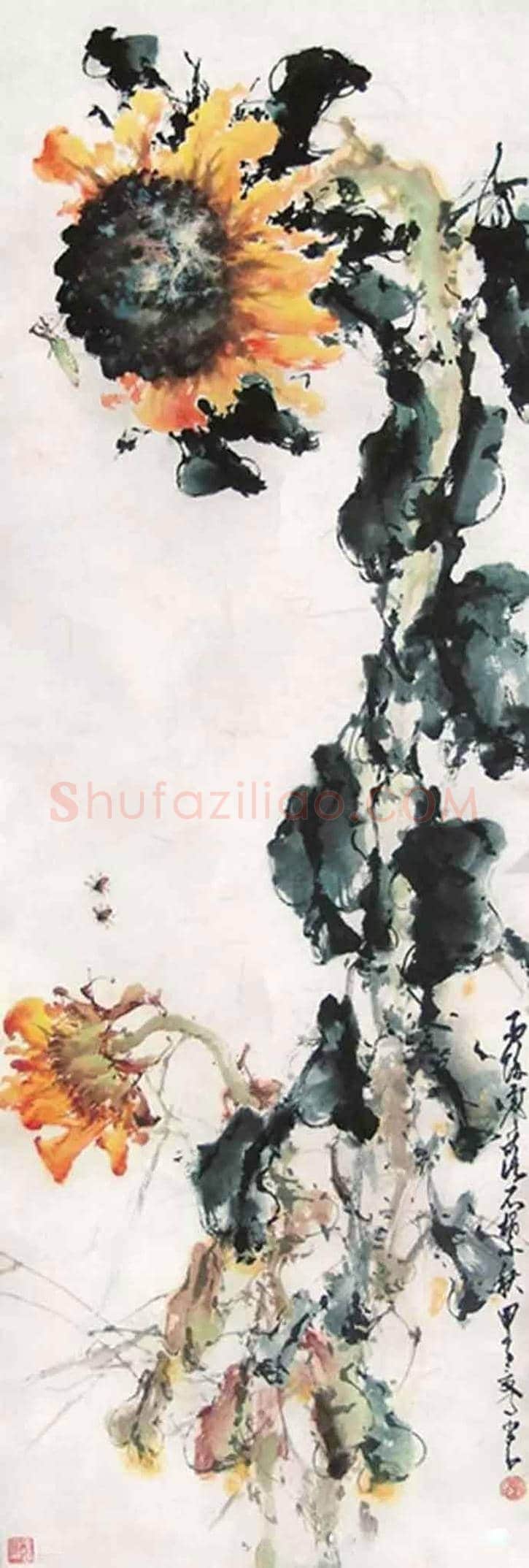 赵少昂花鸟鱼虫画欣赏 | 书画资料