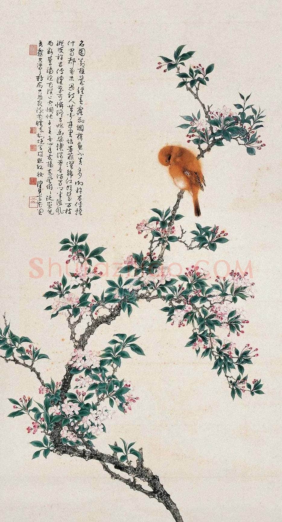 陈佩秋国画作品欣赏 | 书画文摘