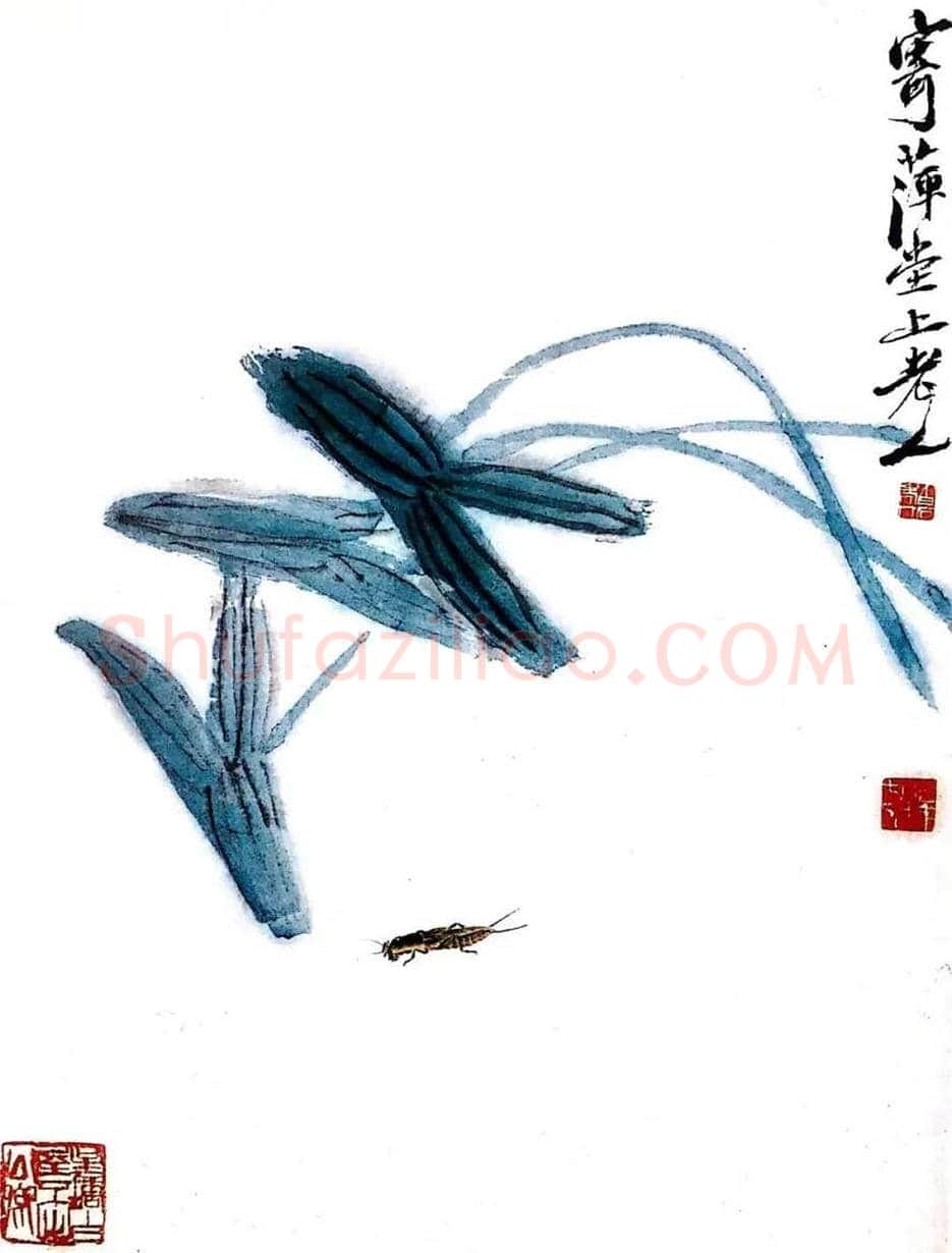 齐白石笔下的慈姑图赏 | 书画科普