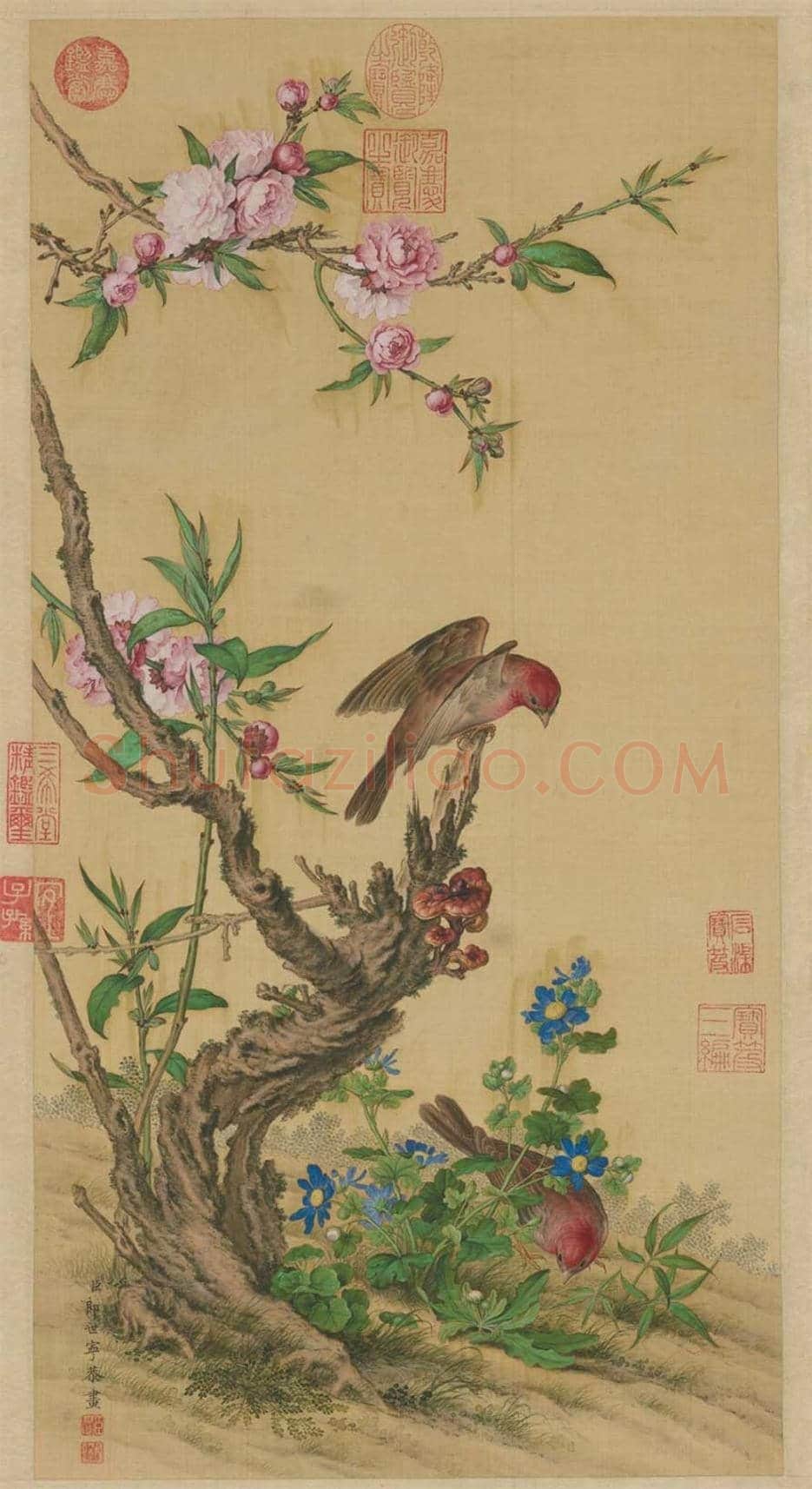 郎世宁花鸟图轴欣赏 | 著名国画鉴赏