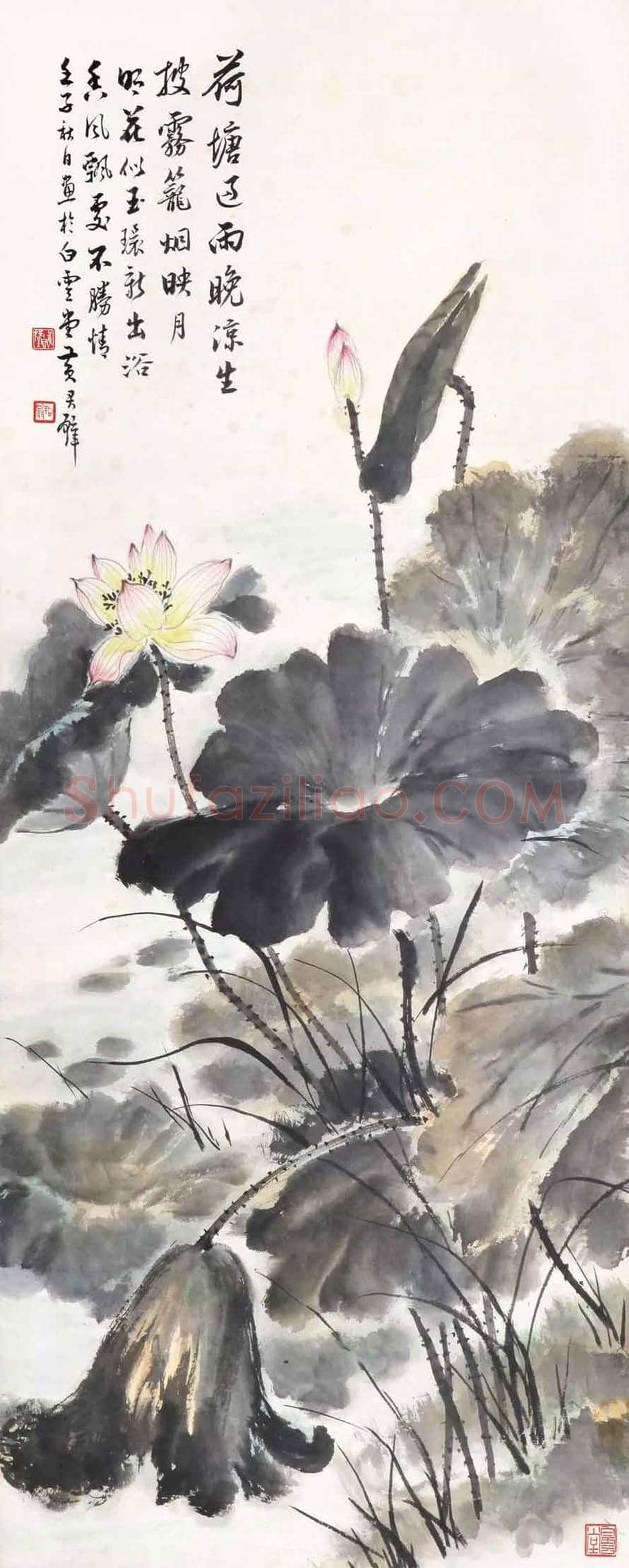 黄君璧荷花作品欣赏 | 书画知识
