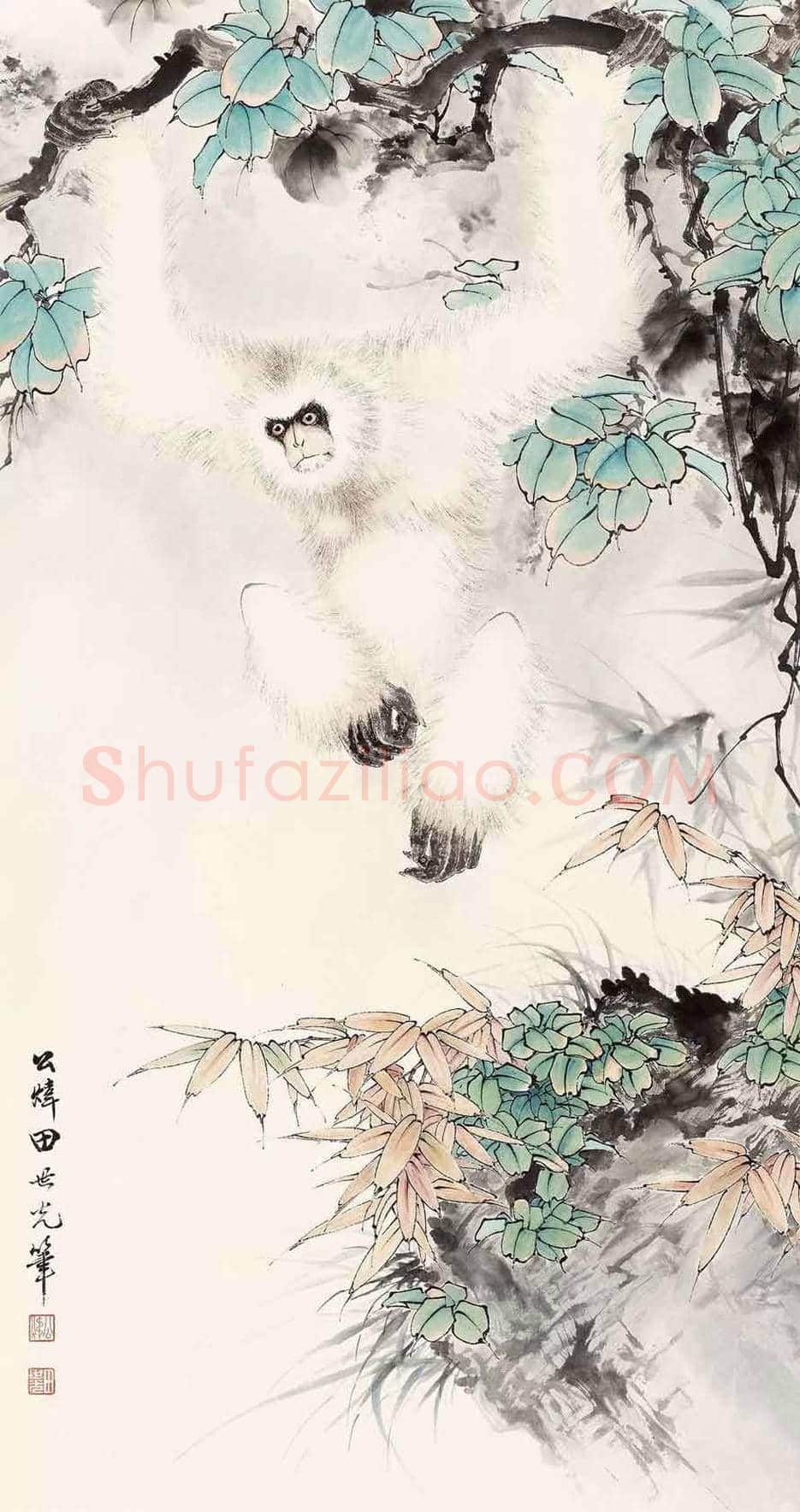 田世光猿猴作品精选 | 书画文摘