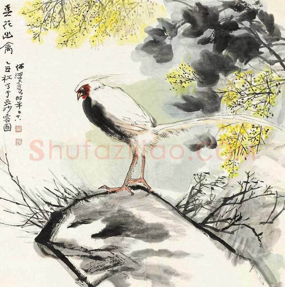 何海霞花鸟作品欣赏 | 书画知识