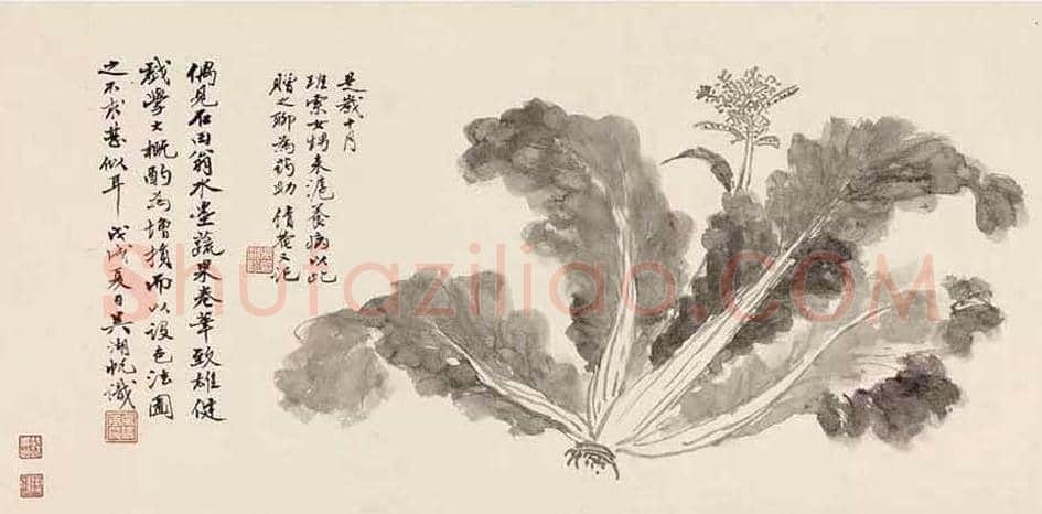 吴湖帆《仿沈石田蔬果图》欣赏 | 书画科普