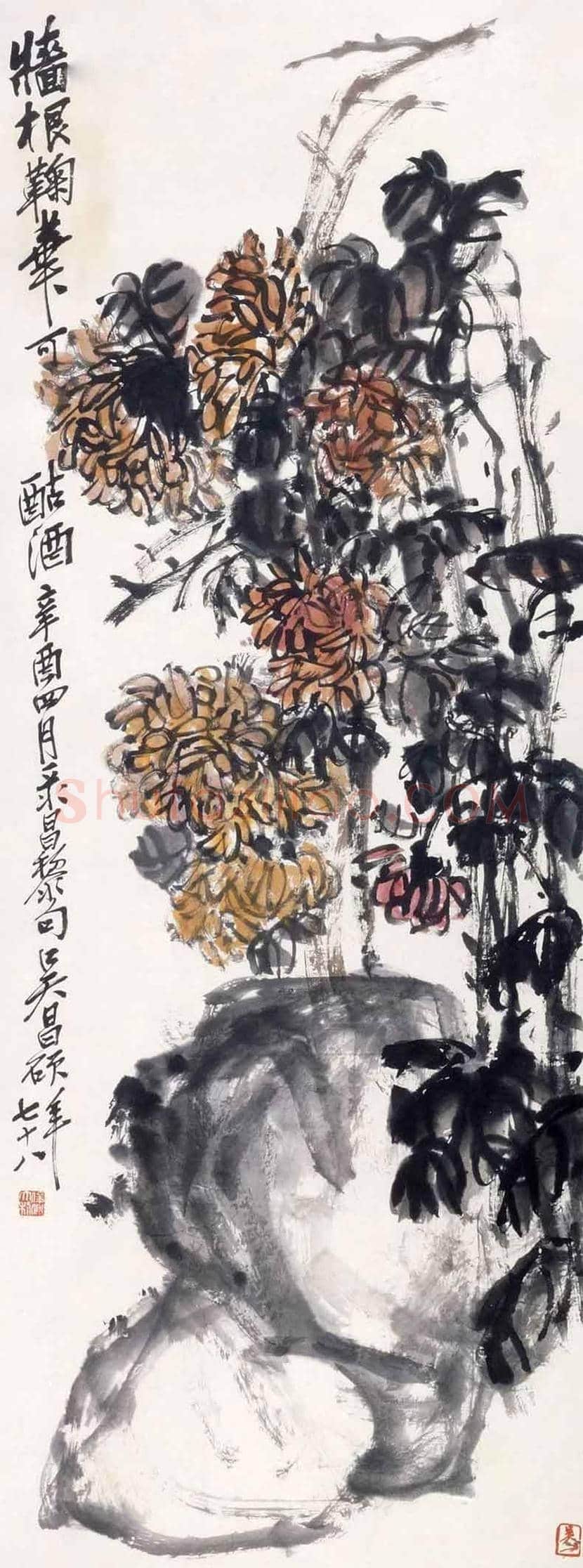 吴昌硕笔下的菊花 | 书画讲解