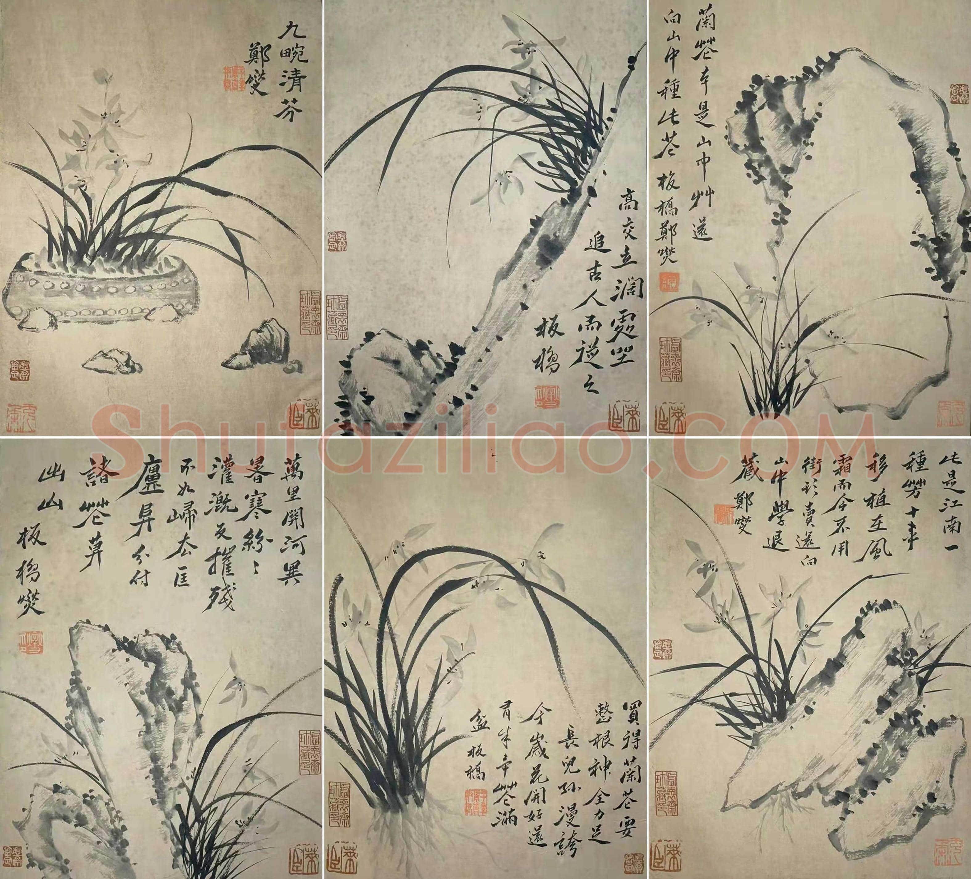 庞元济旧藏——郑板桥《九畹清芬册》 | 国画赏析