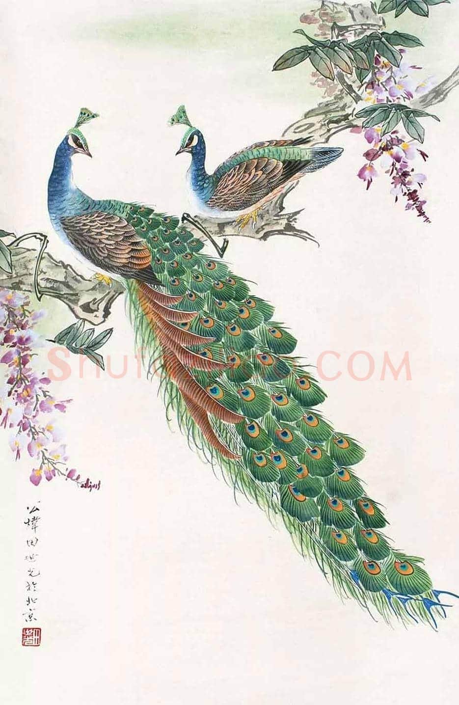 田世光笔下的孔雀，栩栩如生，仙气十足！ | 书画文摘
