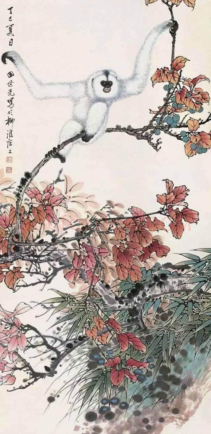 田世光花鸟画作品欣赏 | 书画科普