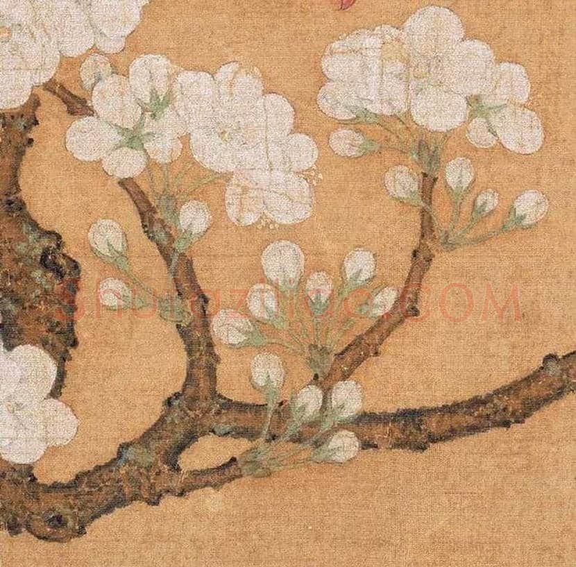 宋 《梨花鹦鹉图》，清新生动！ | 书画百科