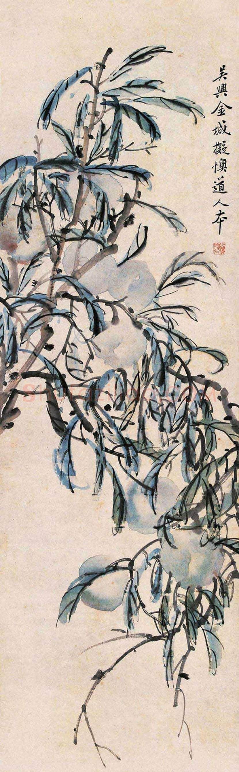 金城花鸟画作品欣赏 | 书画学堂