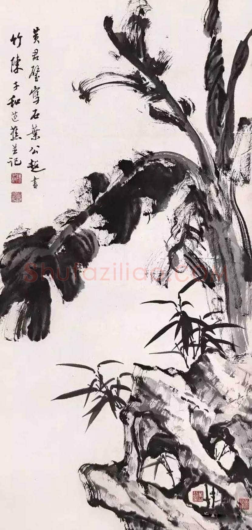 黄君璧花鸟画作品欣赏 | 书画文摘