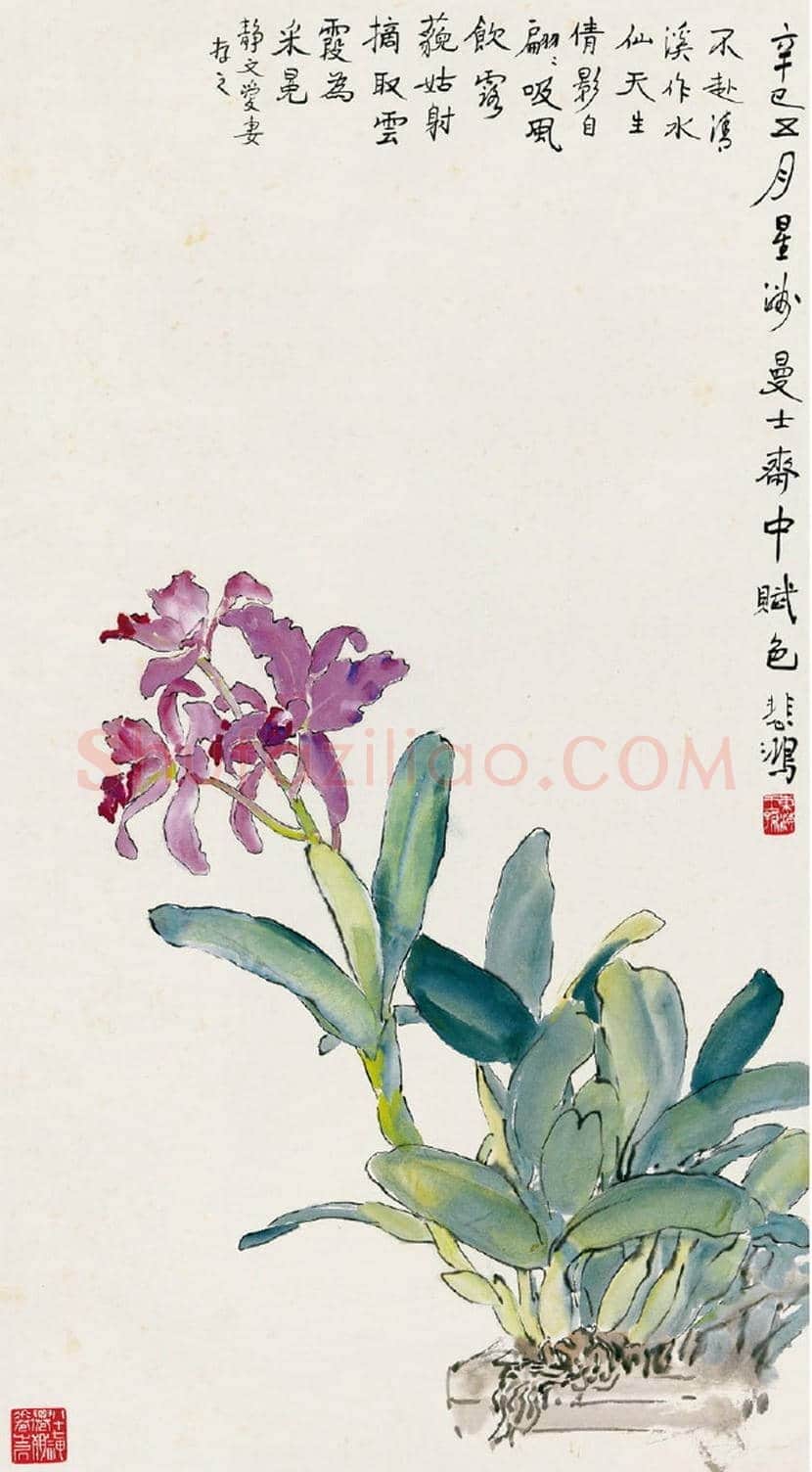 徐悲鸿作品《紫兰》赏析 | 书画讲解