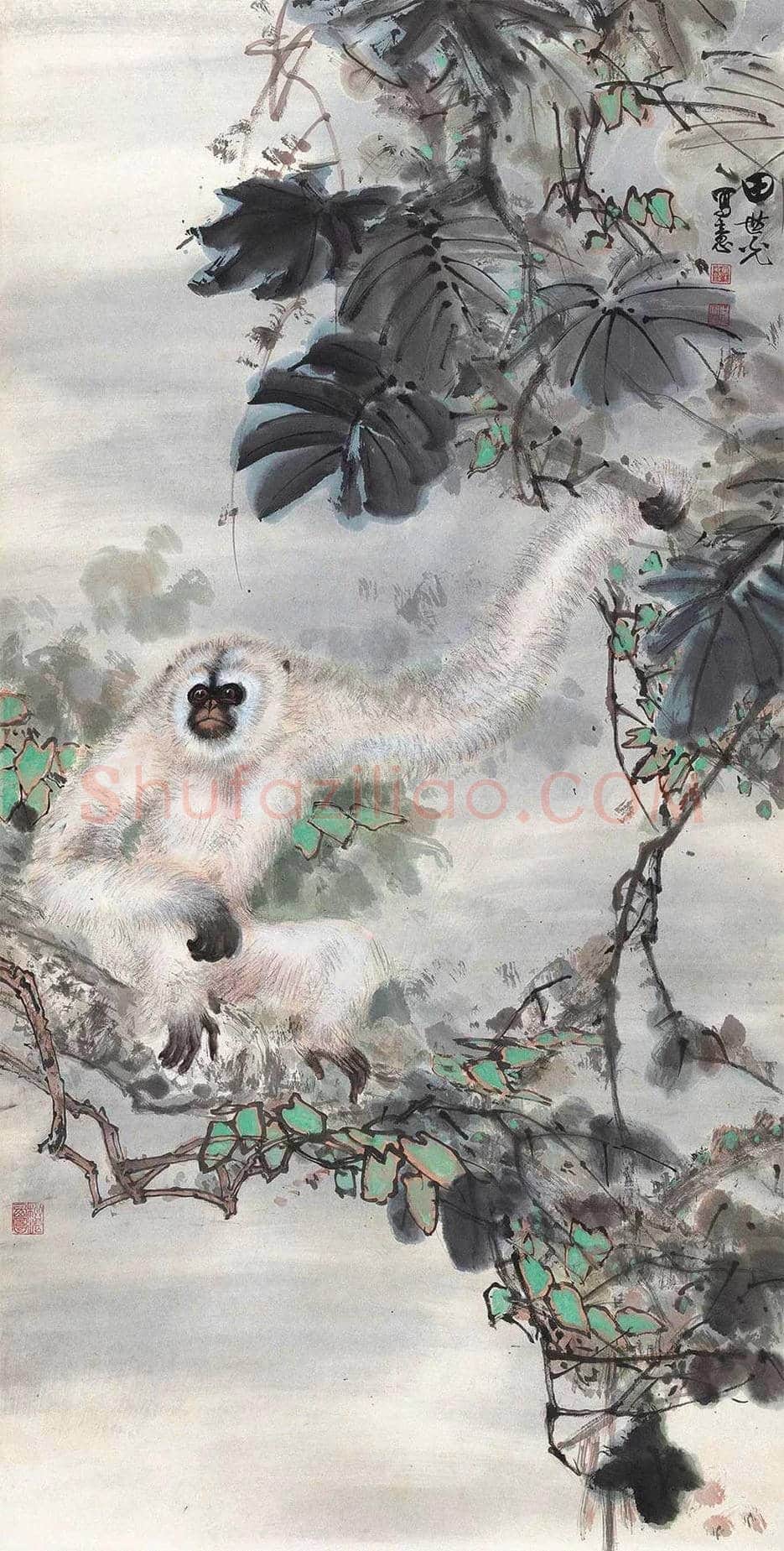 田世光猿猴作品精选 | 书画文摘