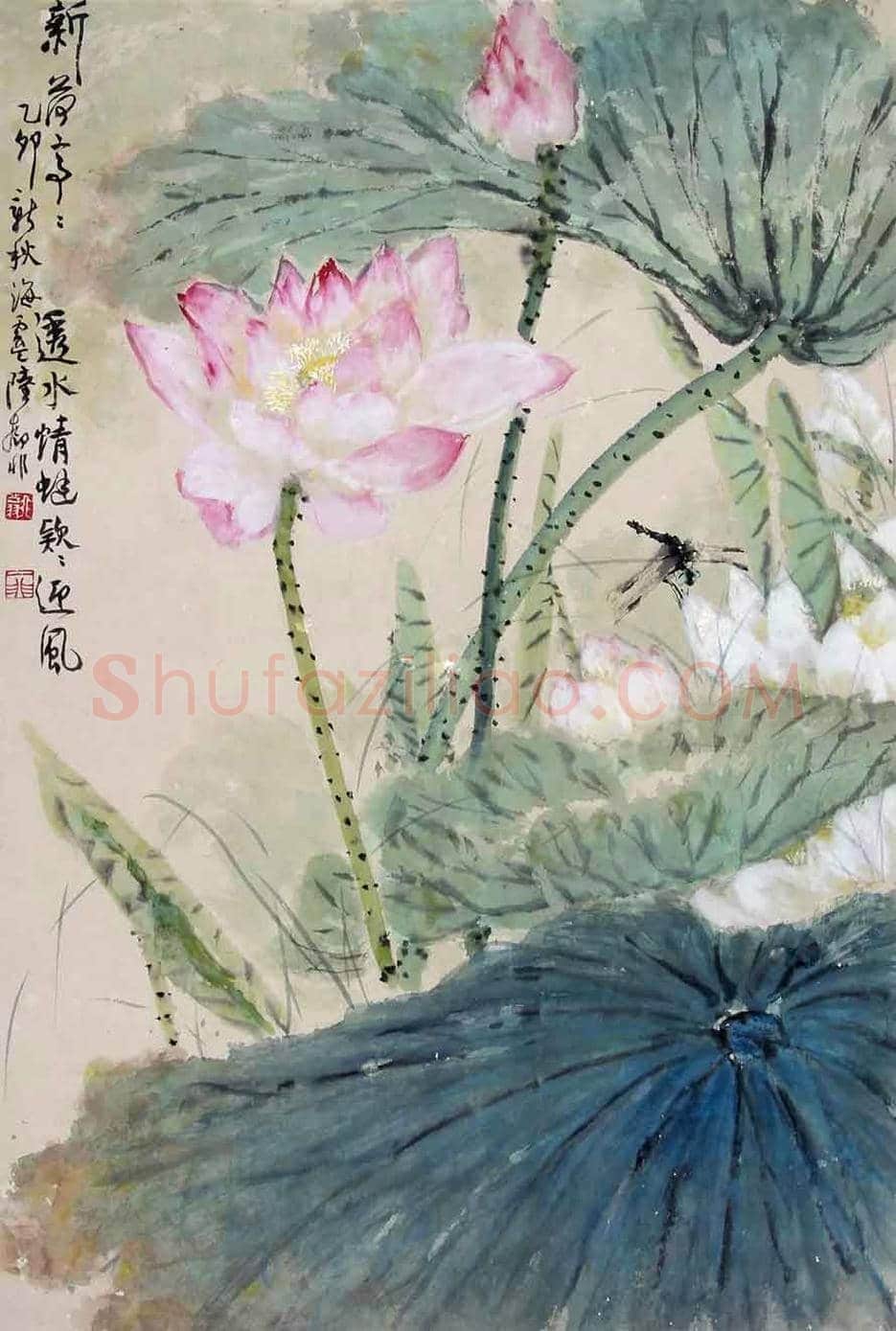 陆抑非荷花作品欣赏 | 书画文摘