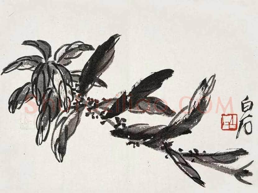 齐白石《花卉册》欣赏 | 书画资料