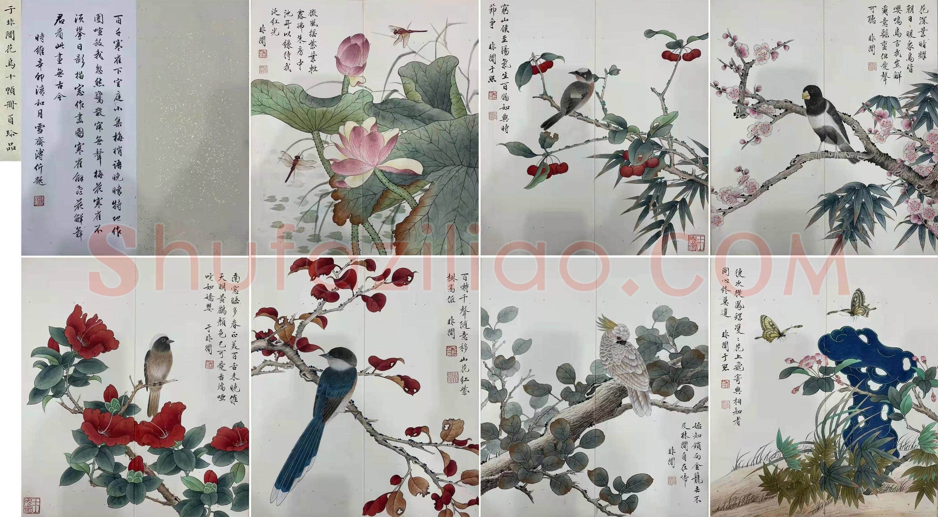 于非闇《花鸟册页》，珍品佳作 | 国画欣赏