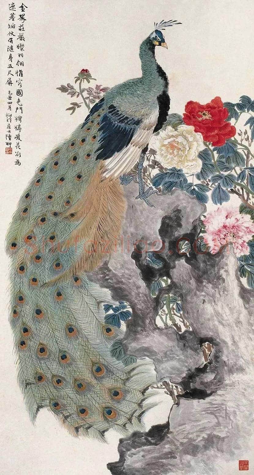 陆抑非孔雀作品欣赏 | 书画常识