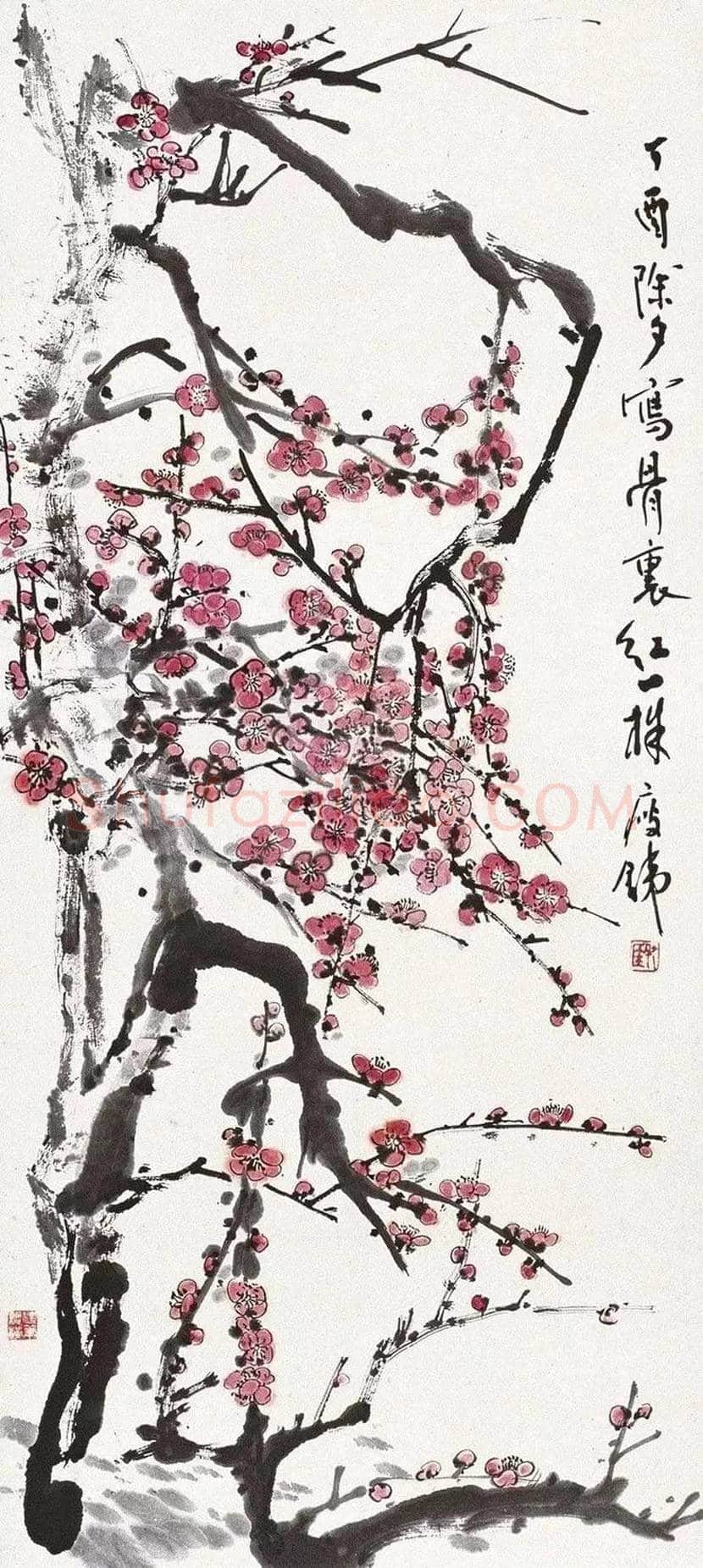 钱瘦铁梅花作品欣赏 | 书画百科