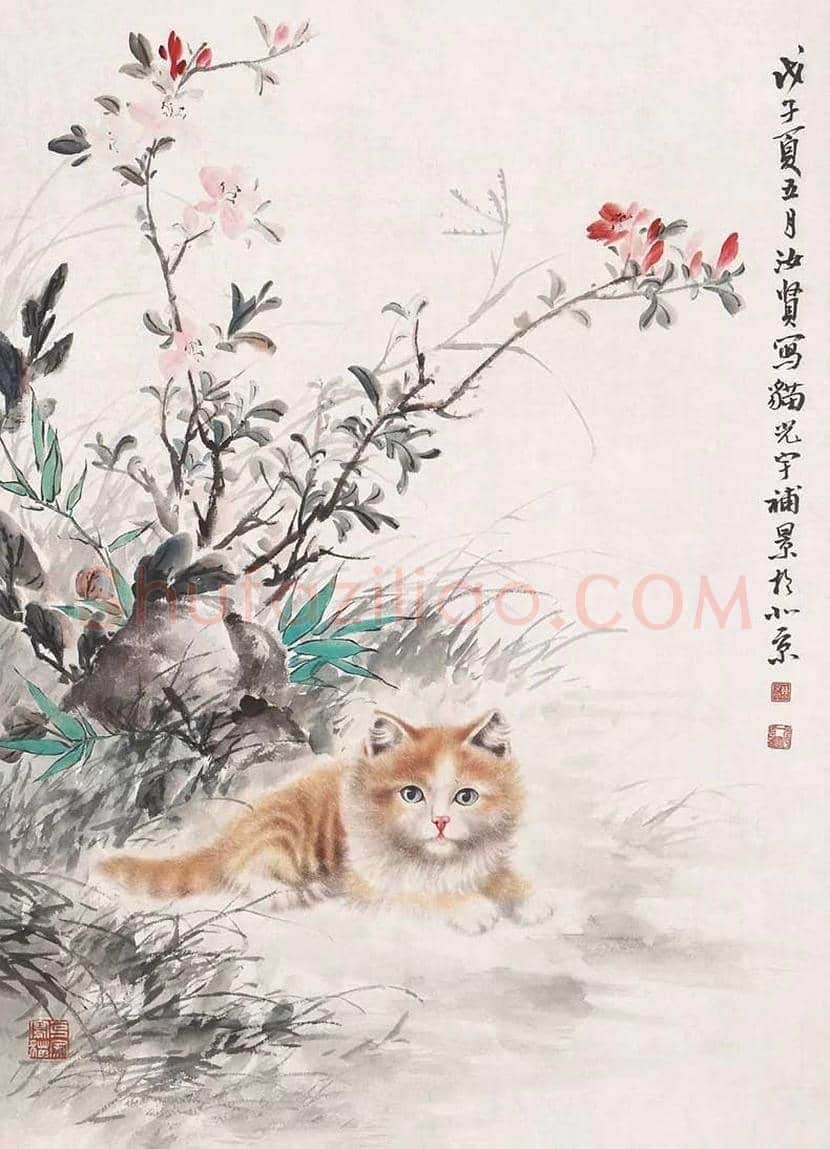 曹克家画猫作品欣赏 | 书画学堂
