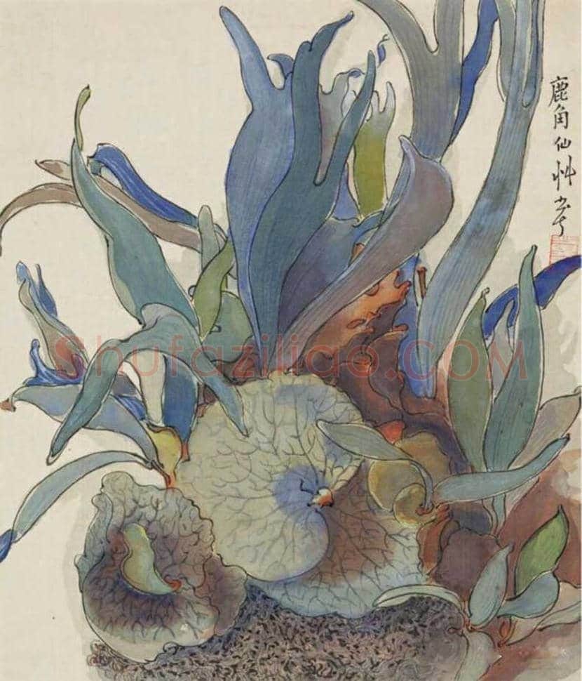 赖少其花鸟画作品欣赏 | 书画学堂