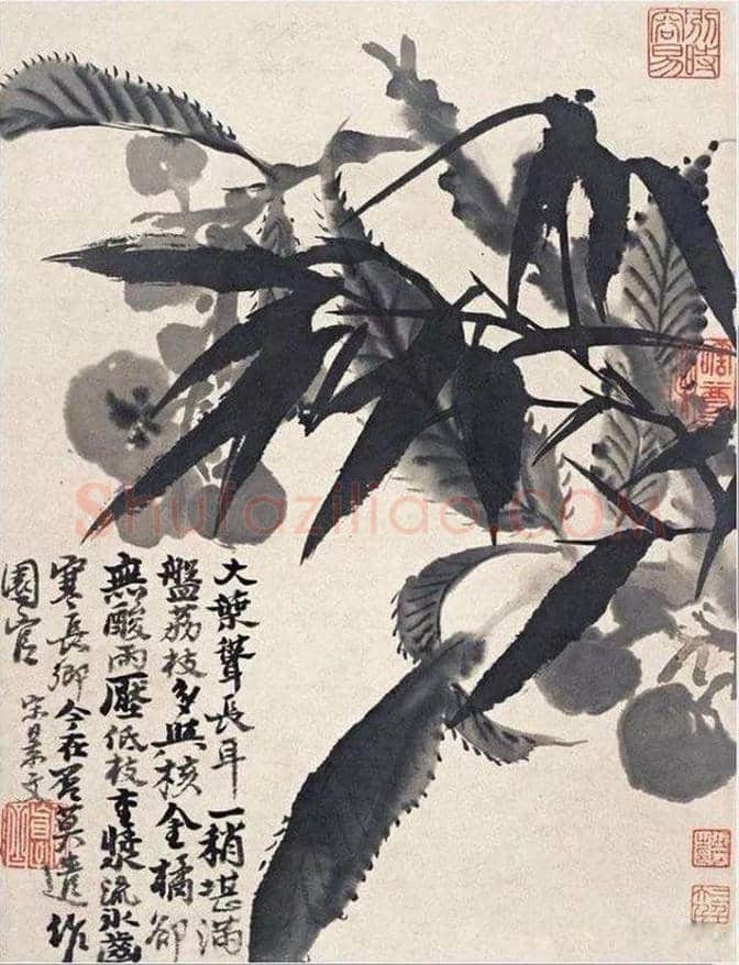 张大千旧藏！八大、石涛的合作之作《杂画册》 | 书画百科