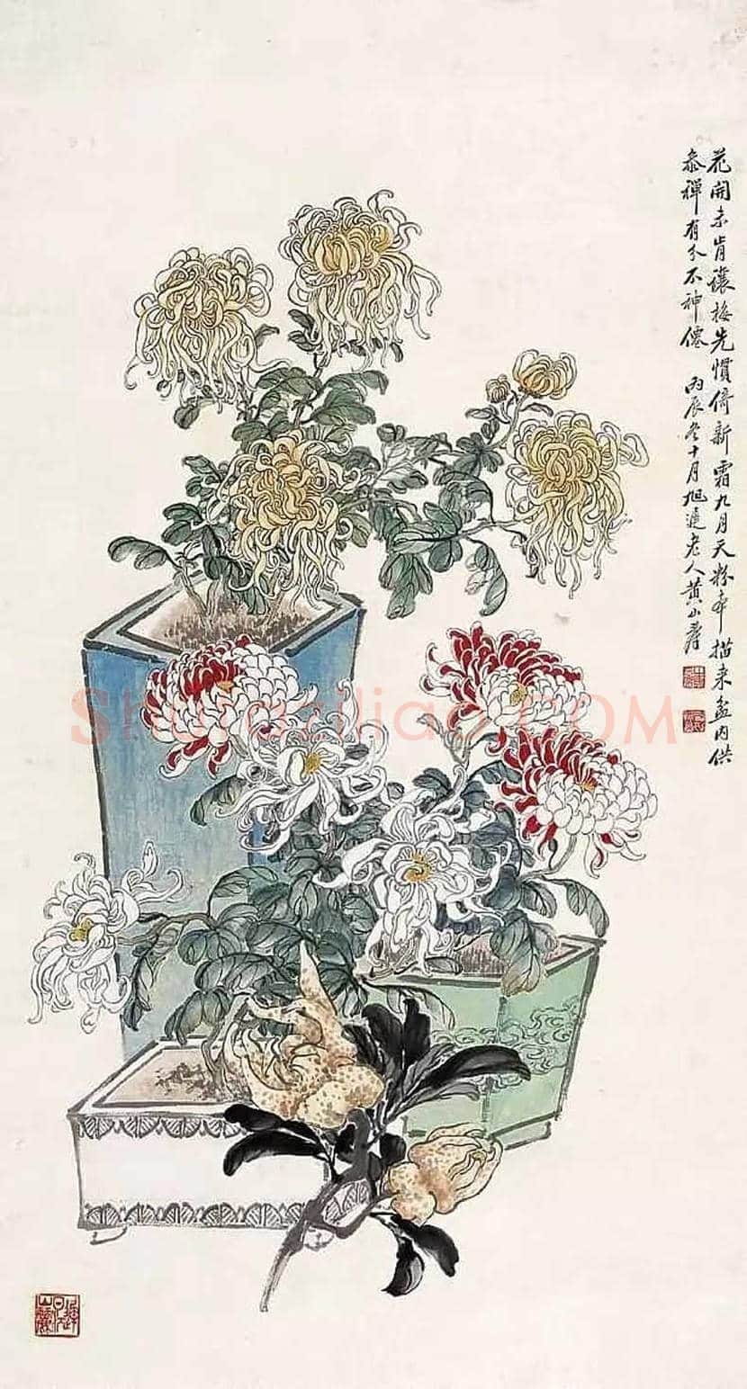黄山寿花鸟画作欣赏 | 书画百科