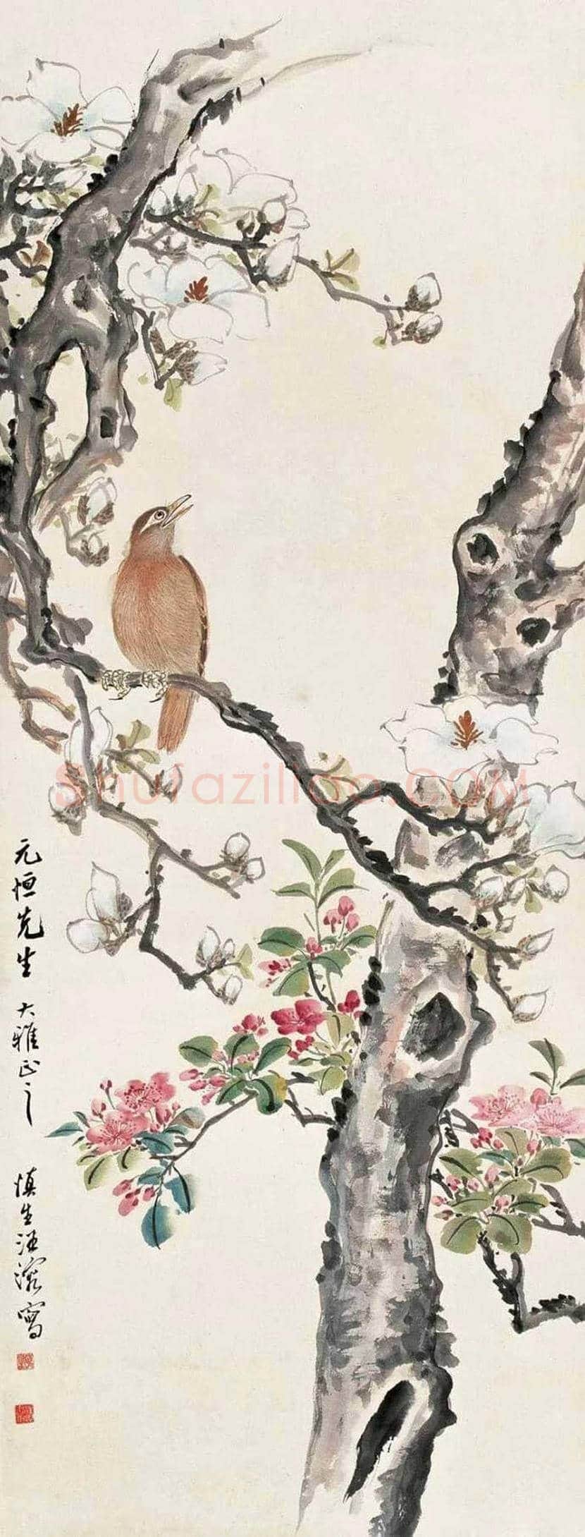 汪慎生花鸟画作品欣赏 | 书画常识