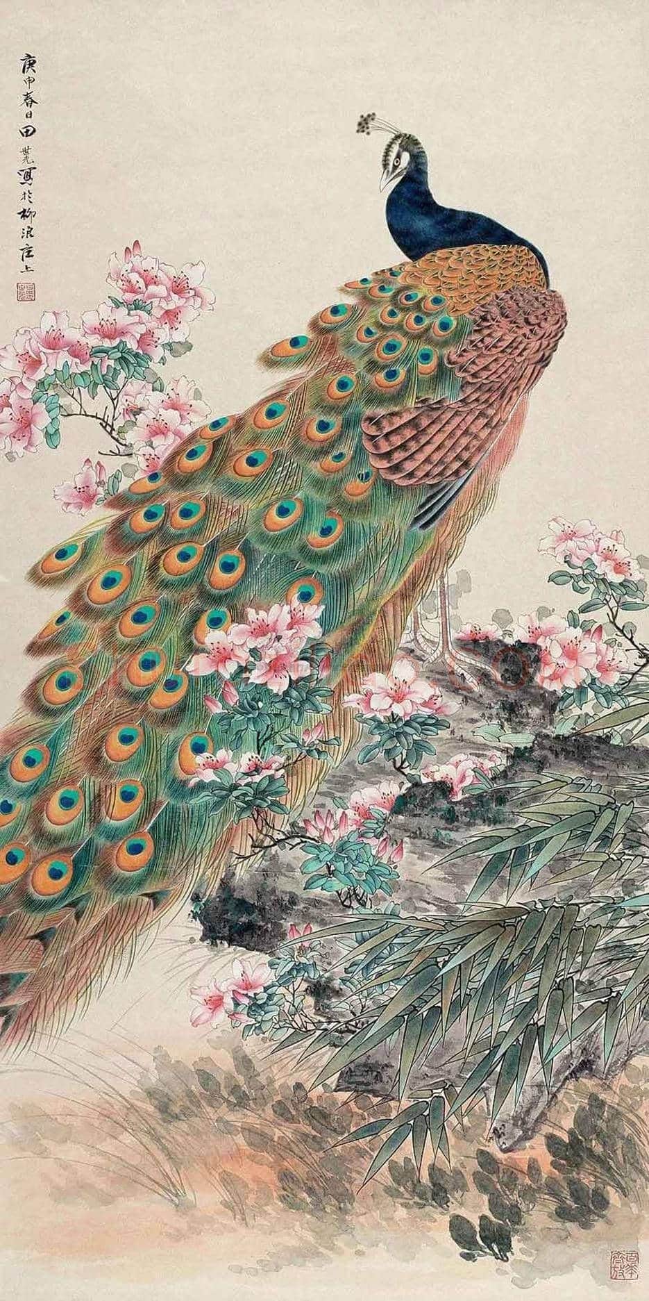 田世光花鸟画作品欣赏 | 书画科普