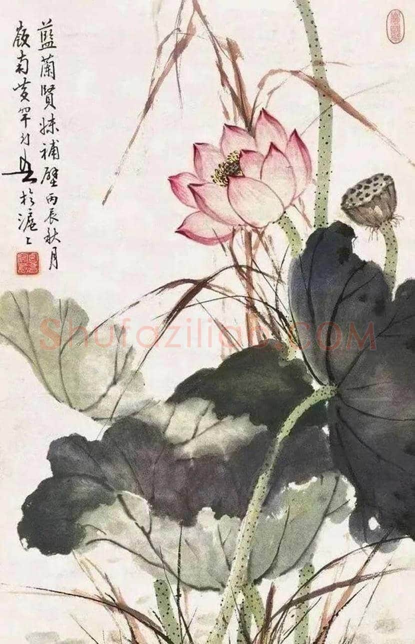 赵少昂的夏日荷塘，美！ | 书画资料