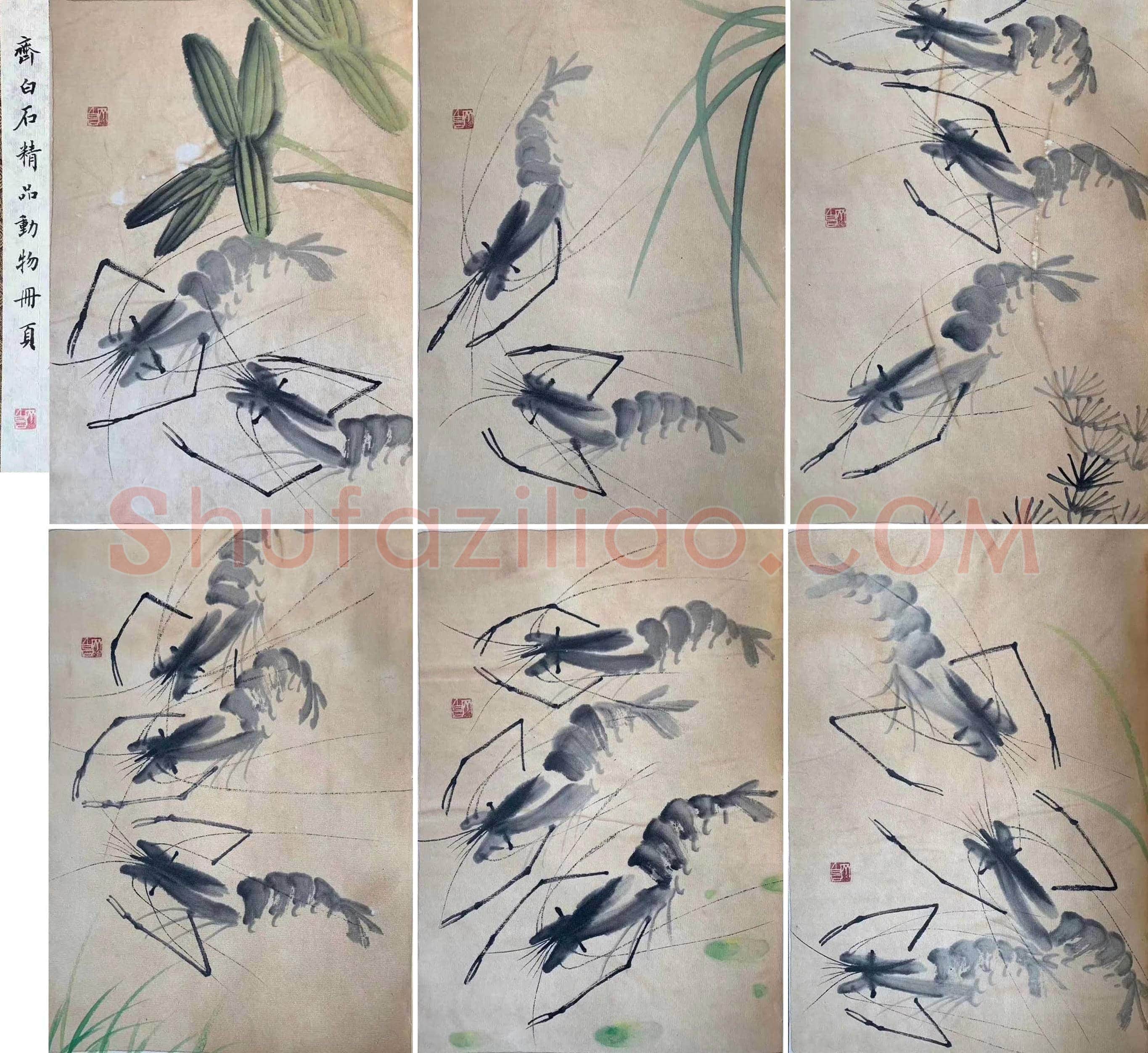 齐白石册页《虾戏图》,经典力作! | 国画欣赏