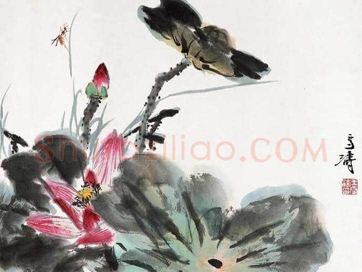 王雪涛娄师白荷花作品比较 | 书画学堂