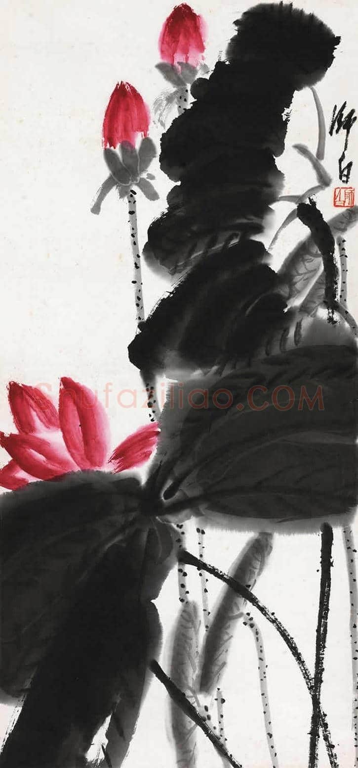 王雪涛娄师白荷花作品比较 | 书画学堂