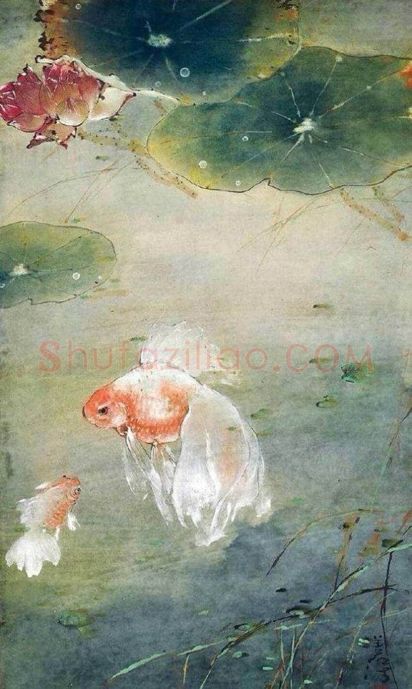 杨善深花鸟画作品欣赏 | 书画讲解