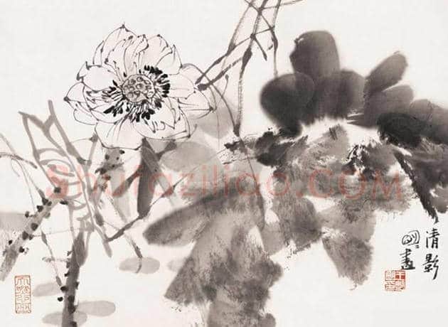 王明明花鸟作品欣赏 | 书画学堂