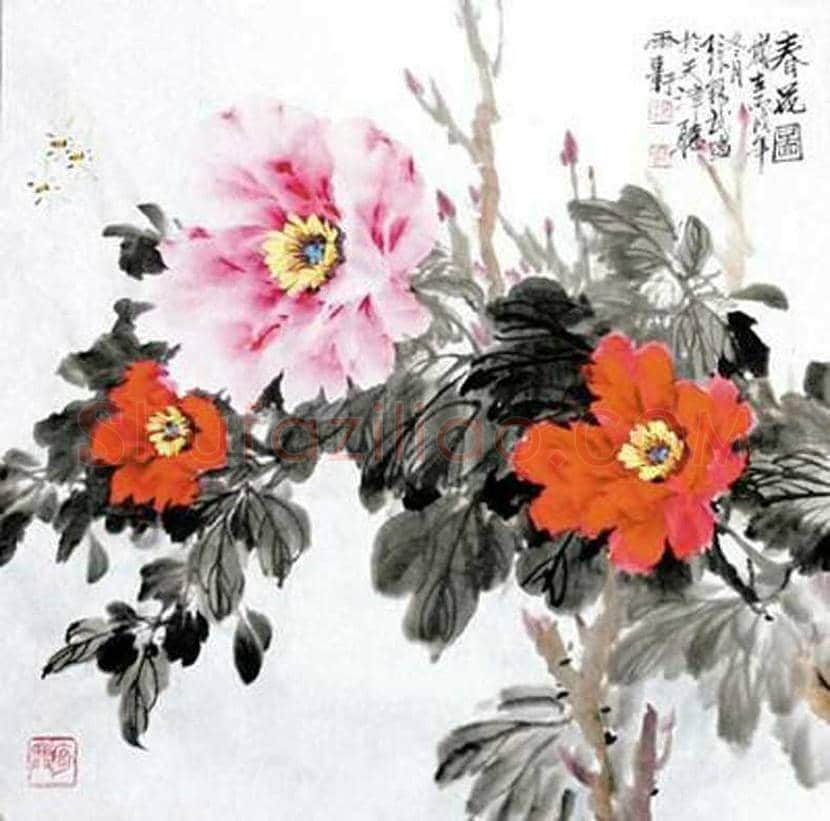 张锡武牡丹作品欣赏 | 书画资料