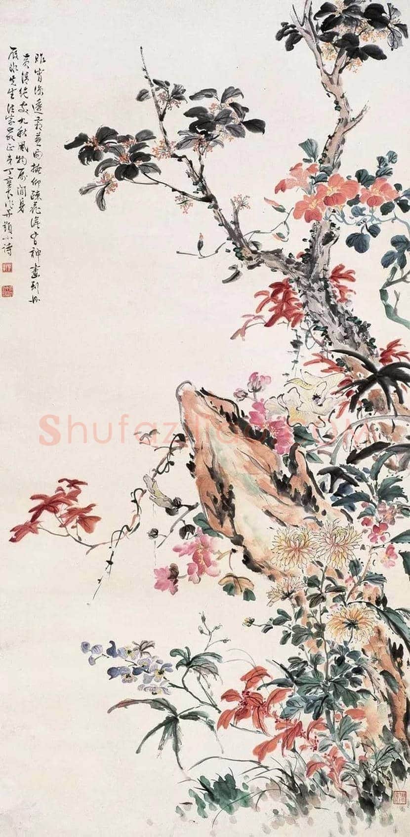 丁宝书花鸟画作品欣赏 | 书画科普
