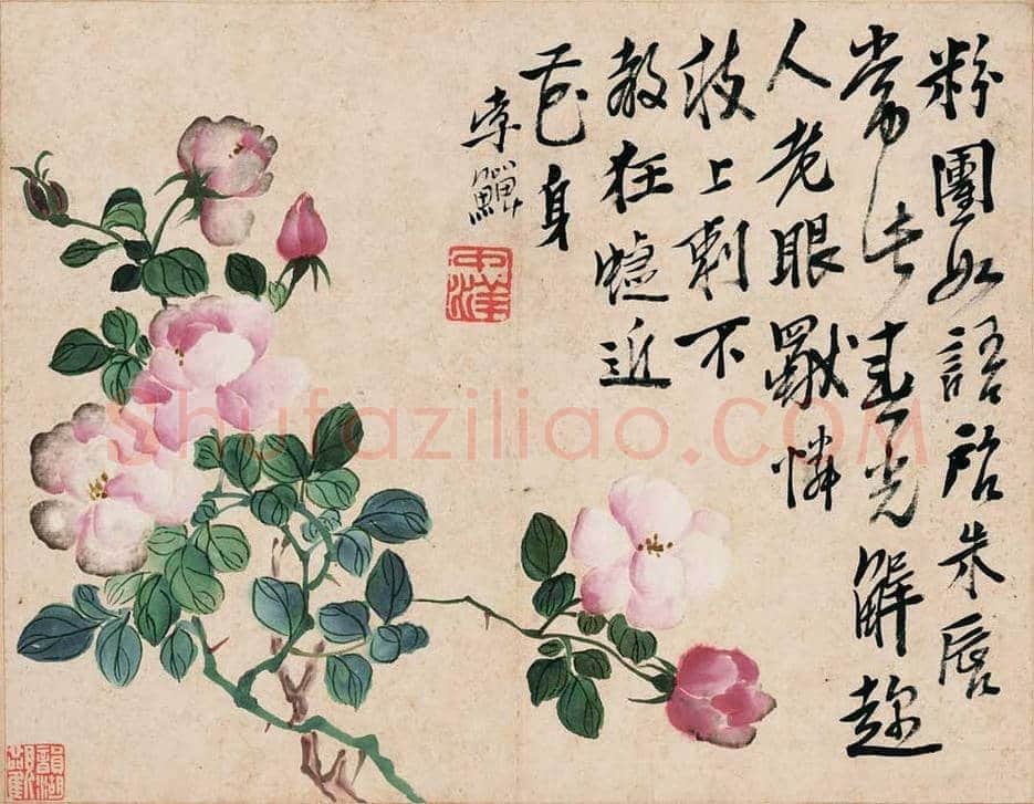 李鱓花鸟册页欣赏 | 书画讲解