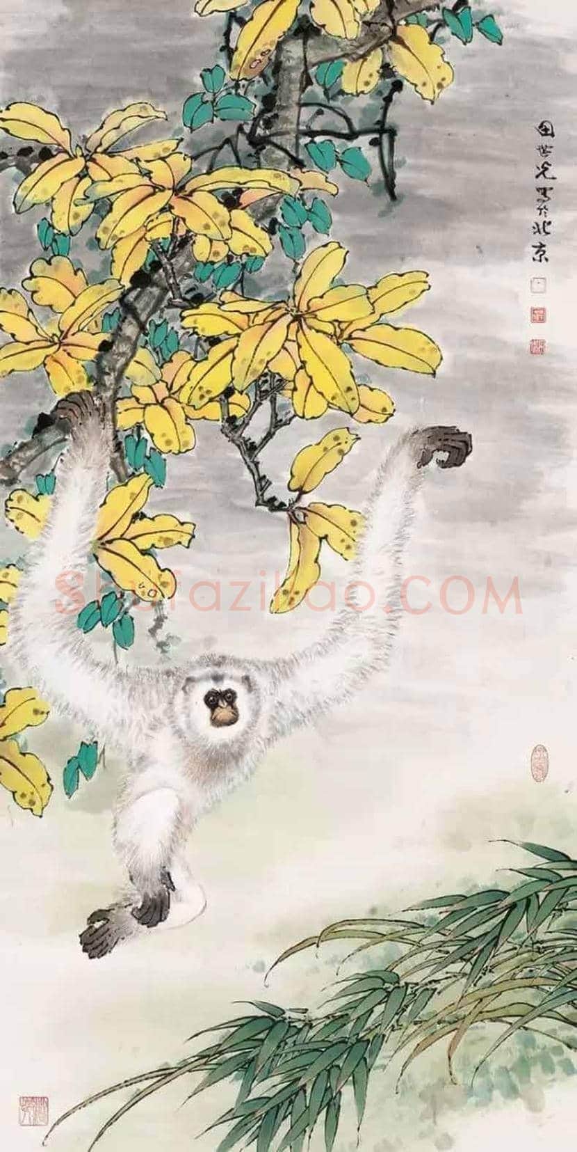 田世光花鸟画作品欣赏 | 书画科普