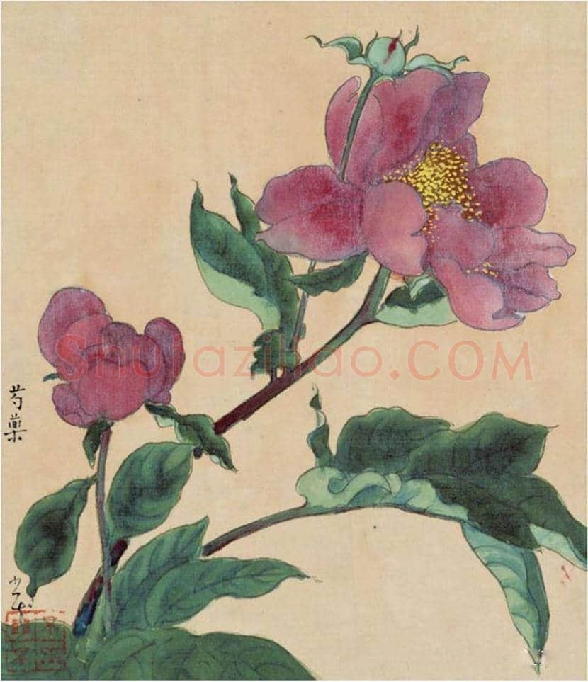 赖少其花鸟画作品欣赏 | 书画学堂