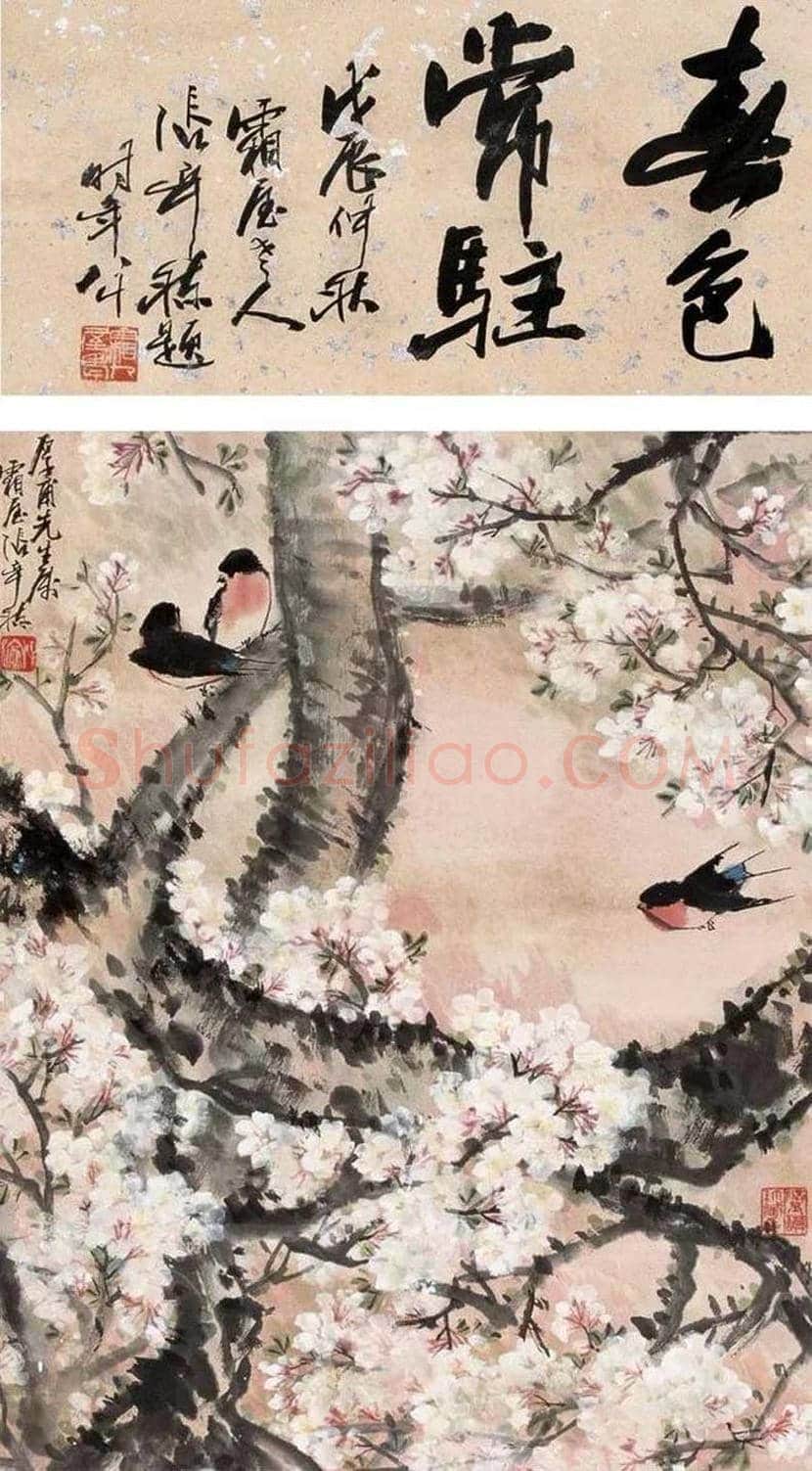 张辛稼花鸟画作品欣赏 | 书画学堂