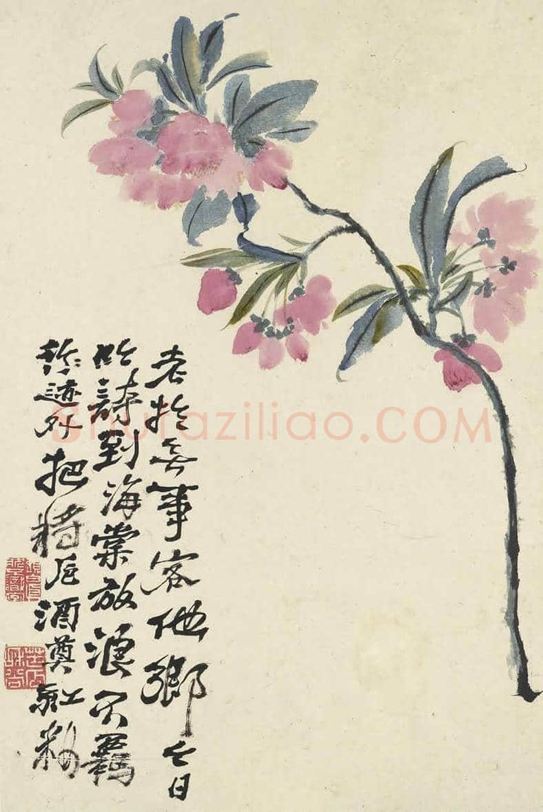 石涛《花卉册页》十帧 | 书画文摘
