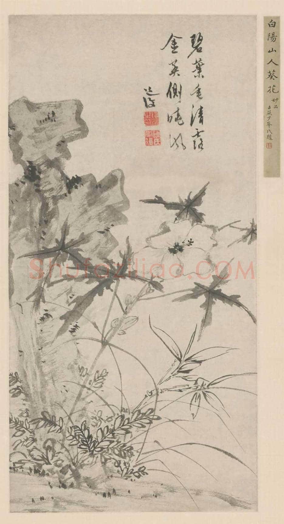 陈淳葵石图轴欣赏 | 传世国画作品