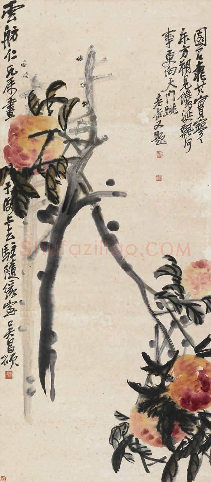 吴昌硕画寿桃，延年益寿 | 书画常识
