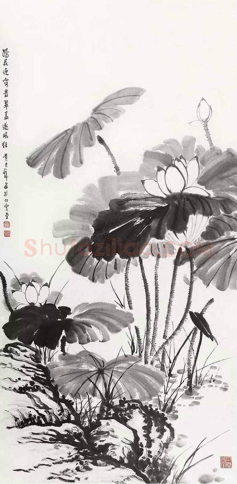 黄君璧荷花作品欣赏 | 书画知识