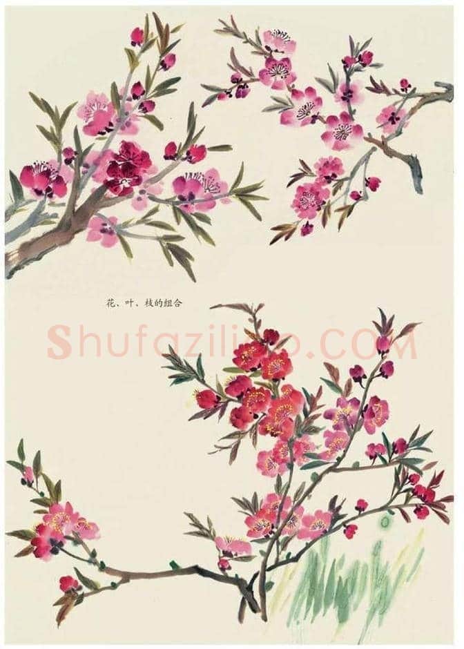 水墨花卉绘画的步骤教程！ | 书画科普