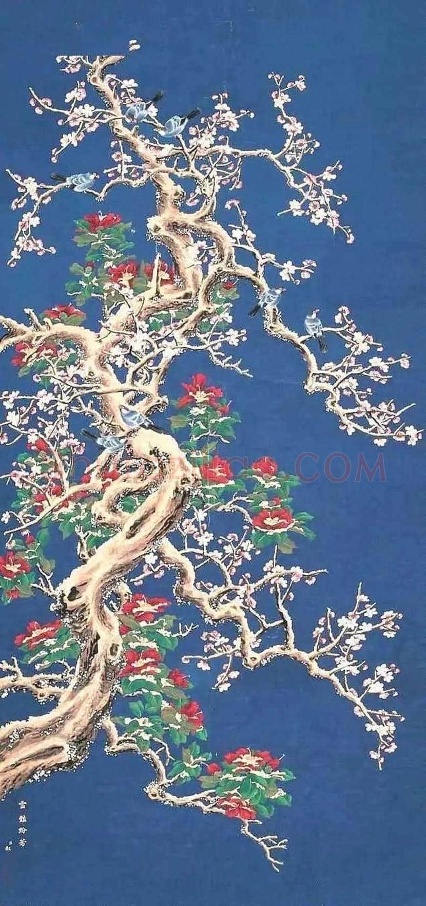 邹一桂工笔花鸟画作品欣赏 | 书画学堂