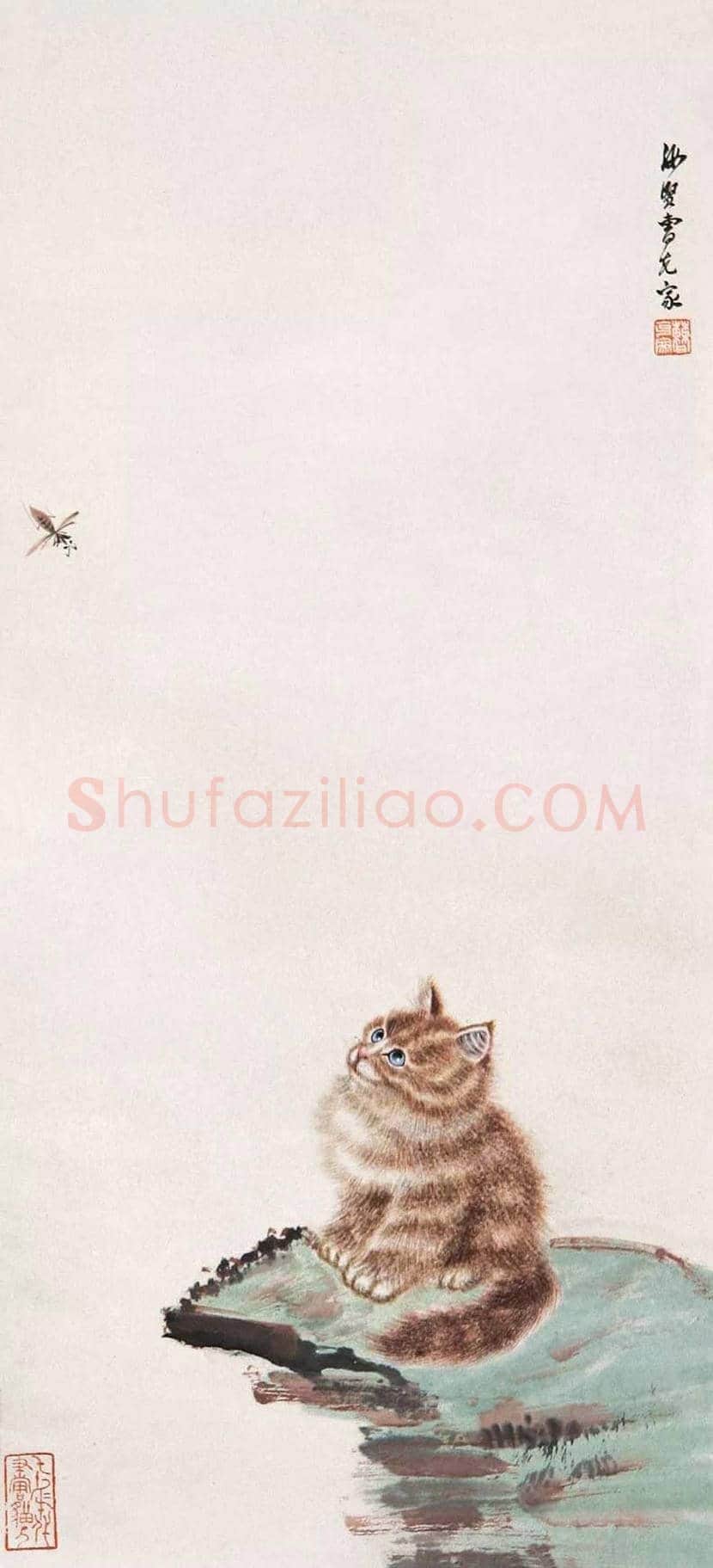 曹克家画猫作品欣赏 | 书画学堂