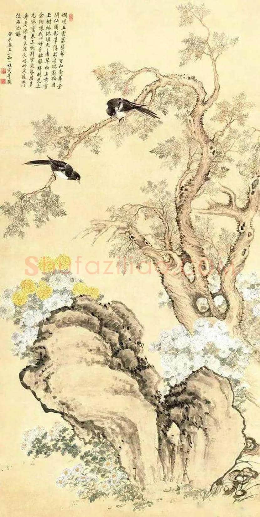 邹一桂工笔花鸟画作品欣赏 | 书画学堂