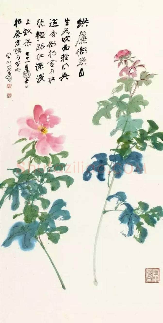 张大千画芍药收藏欣赏 | 书画百科
