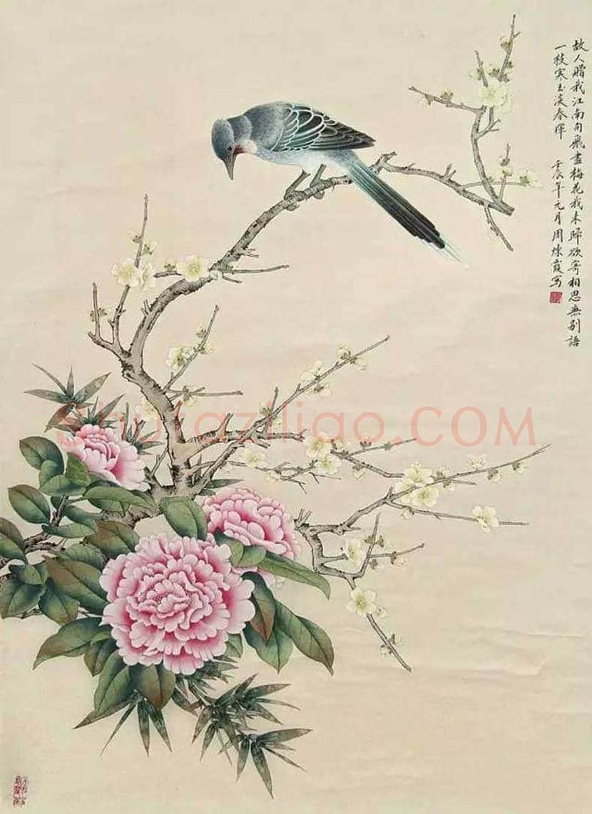民国女画家周炼霞作品欣赏 | 书画讲解